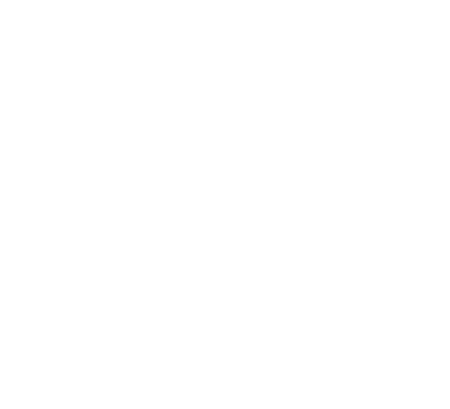 International Fraud Guide Badge